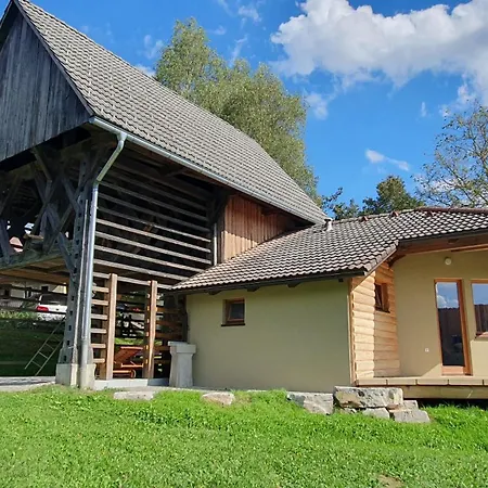 Lojzov Toplar Modern Haystack דירה Velike Lasce